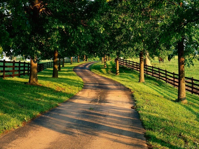 ddos在线攻击工具